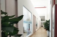 梅花聯(lián)軸器的異常及原因